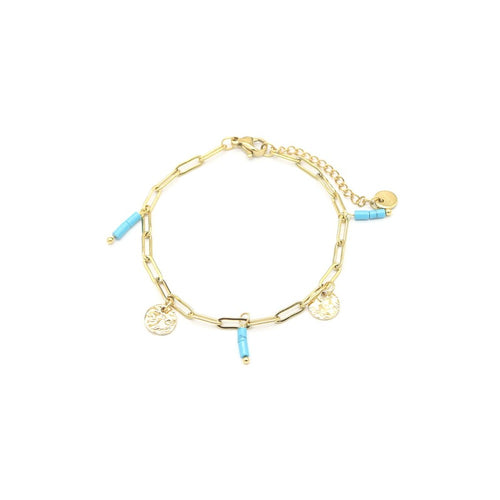 RVS armband - Muntjes turquoise goud | MYKK Jewelry