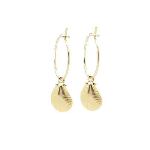 Oorbellen RVS - Mossel goud MYKK Jewelry